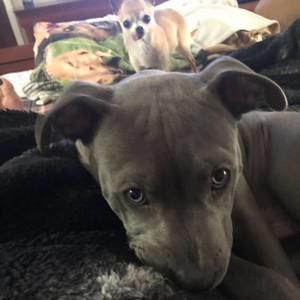 Meet your Posher, Jasmine